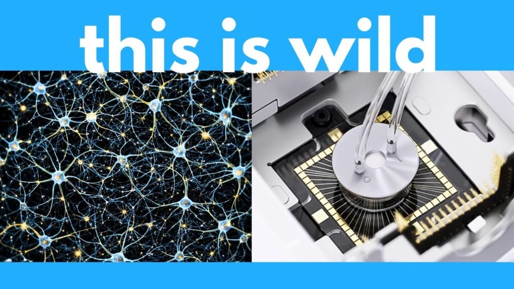 Living Brain Chips: The Future of AI Beyond Silicon